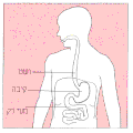 תמונה ממוזערת לגרסה מ־11:14, 25 ביולי 2007