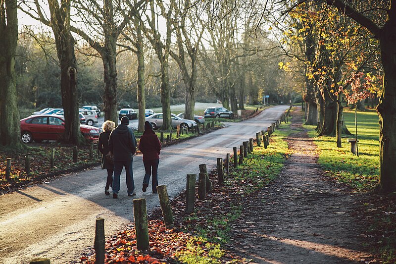 File:Surrey, 6 December 2014, Nonsuch Park.jpg