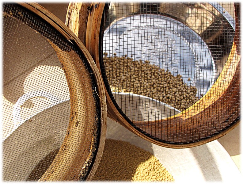 File:Tamé - sankal and thièré sieve sizes for rolled millet flour araw.jpg