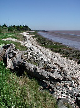 The Humber Bank - geograph.org.uk - 425362