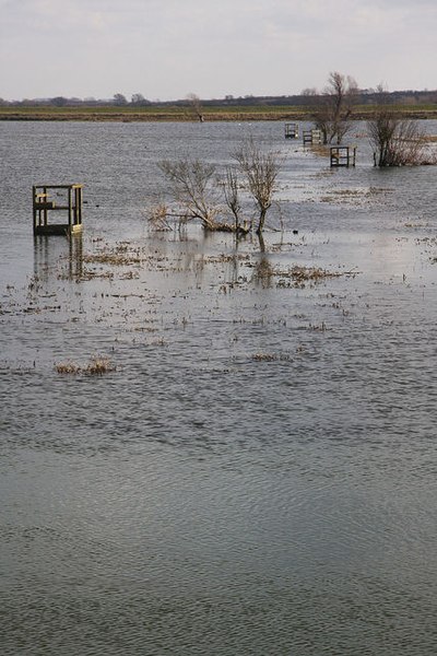 File:The Ouse Washes - geograph.org.uk - 1189083.jpg