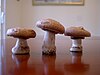 Three meringue mushrooms standing on a table.jpg