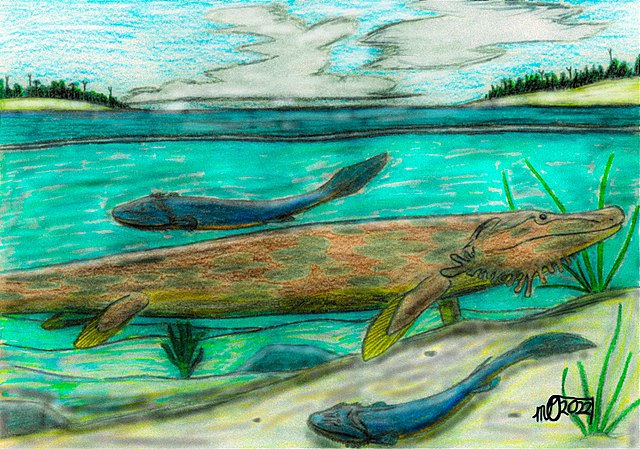 Tiktaalik roseae & Qikiqtania wakei