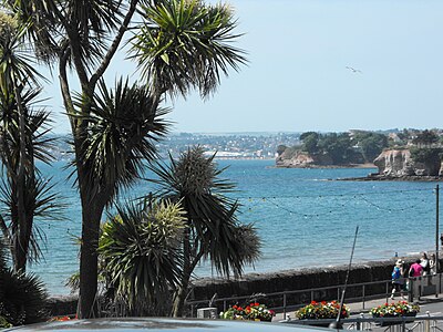 William landed at Torbay, whose sheltered position makes the weather unusually moderate (note non-native cabbage trees)
