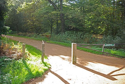 A track through Great Monk Wood Track through Great Monk Wood (geograph 2118090).jpg