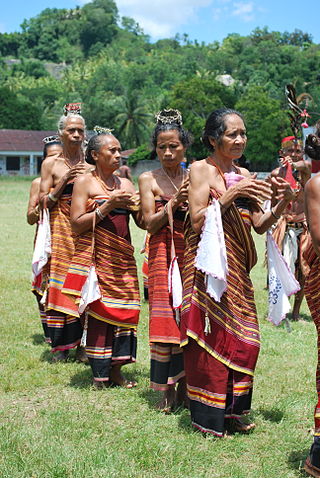 <span class="mw-page-title-main">Tebe dance</span> Indonesian traditional dance