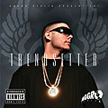 Thumbnail for Trendsetter (Fler album)