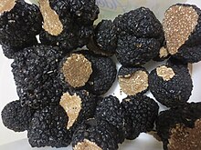 Crème De Truffe D'été (Tuber Aestivum Vitt.) - MFS