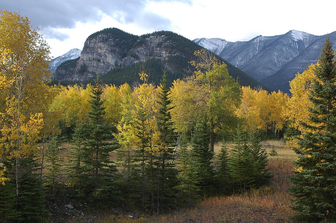 Tunnel Mountain (bukid sa Kanada)