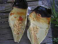 Personal, original research on Ear Candling, showcasing wax from an ear candle when it wasn't used on a human ear, thus showing the wax is produced from the candle itself, not the ear.
