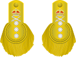 UK-Royal Navy OF-9-Admiral 1864.svg