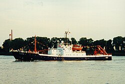 Valdivia 1994 on the Elbe