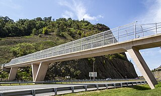 <span class="mw-page-title-main">Victor Cushwa Memorial Bridge</span>