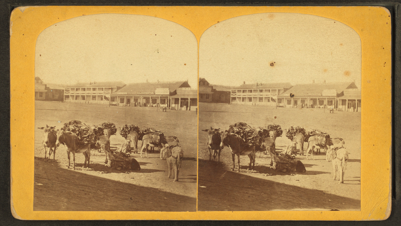 File:View of "Mexican burros" with building in the background, from Robert N. Dennis collection of stereoscopic views.png