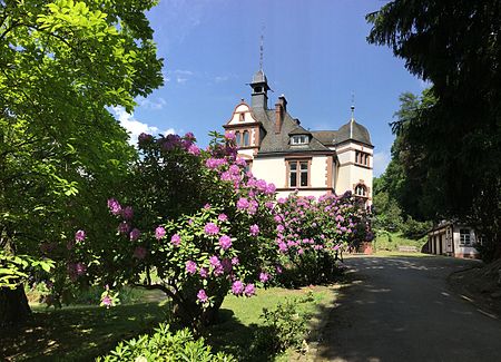 Villa Haas (Sinn) Auffahrt