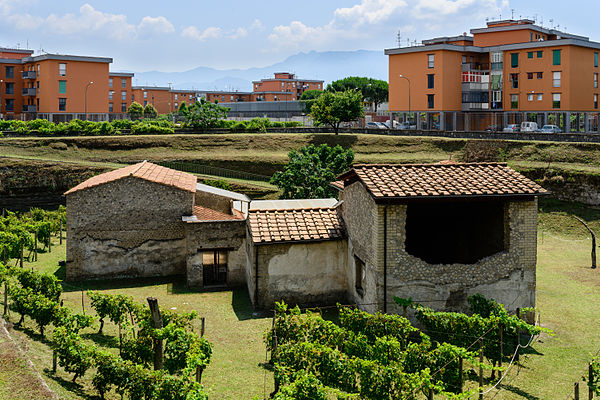 Villa Regina, view from above