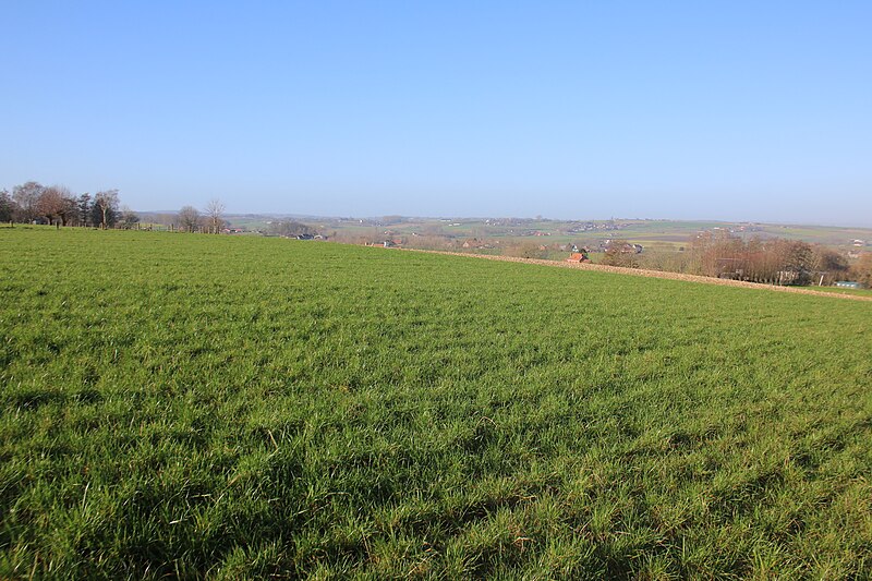 File:Vlaamse Ardennen 75.jpg