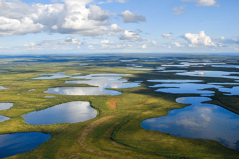 File:Vontut National Park.jpg