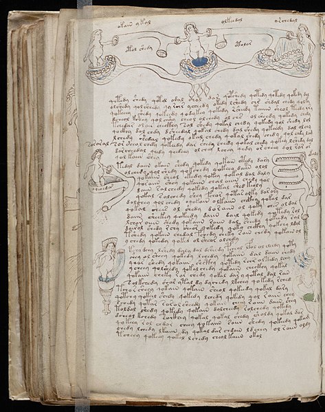 File:Voynich Manuscript (140).jpg