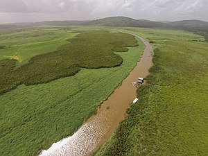 Vista aérea del pantano de Kaw en la Guayana Francesa