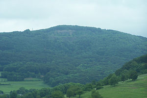 Der Umpfen (2009) view from the northwest