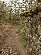 Deer park wall at Whiddon, built of massive granite blocks by Sir John Whiddon Wall of Whiddon Deer Park - geograph.org.uk - 1243628.jpg