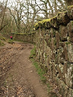 Whiddon, Chagford