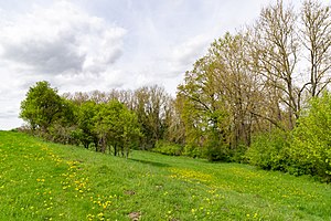 Kalkmagerrasen bei Dalheim