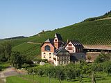 State wine-growing domain Avelsbach