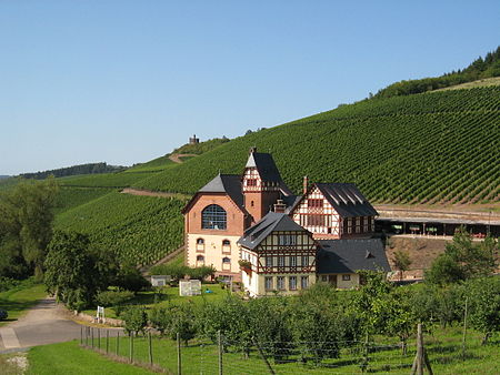 Weinbaudomäne Trier