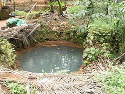 A water well in Kerala, India. Well In Kerala.JPG