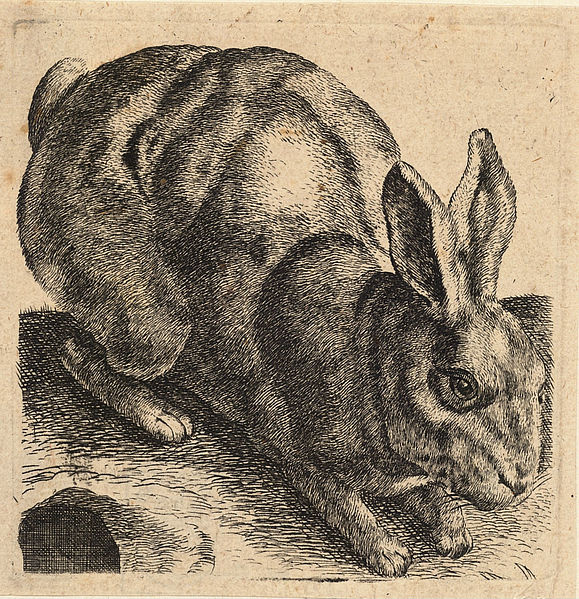 File:Wenceslas Hollar - Crouching hare.jpg