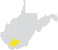 West Virginia Senate District 9 (2010).png