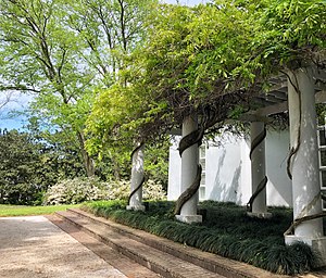 A pergola covered by wisteria at a private home in Alabama
