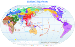 Map of Y-Chromosome Haplogroups - dominant haplogroups in pre-colonial populations with proposed migrations routes World Map of Y-DNA Haplogroups.png