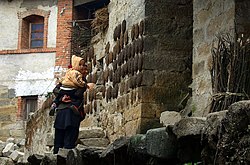 Water buffalo dung drying on the wall of a house in Yuanyang County, Yunnan, China Yuanyang cow pat.jpg