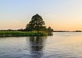 Zicht vanaf het water op de Alde Feanen van het It Fryske Gea. Waardevol natuurgebied in Friesland.