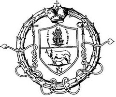 Ordine basiliano italiano di Grottaferrata