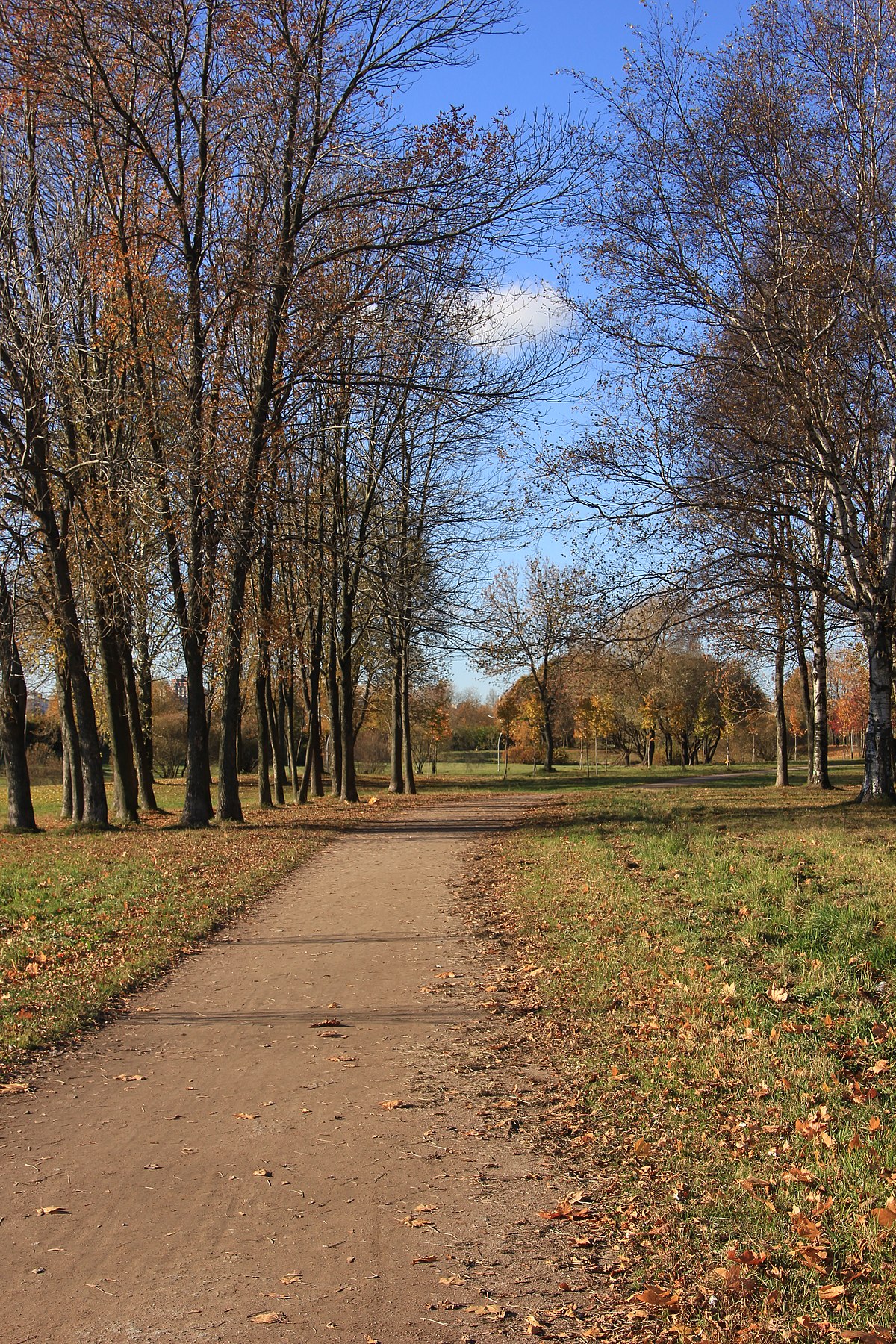 муринский парк петербург