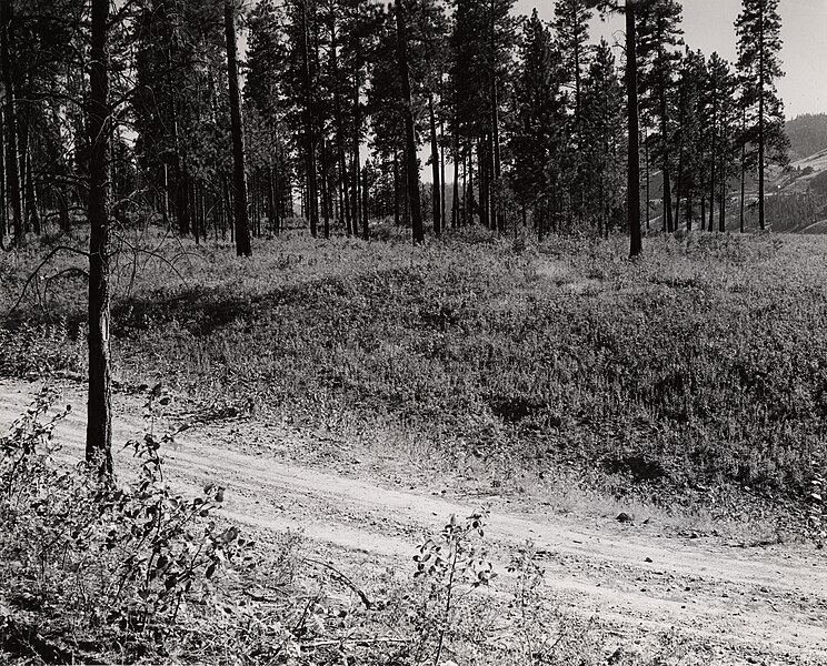 File:"Hunters Ferry picnic area site" Taken July 21, 1941. (f2d1874f-f204-421e-86ad-88457b3ef58f).jpg