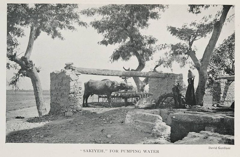 File:"Sakiyeh" For Pumping Water (1906) - TIMEA.jpg