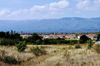 <span class="mw-page-title-main">Gorna Bela Crkva</span> Village in Pelagonia, North Macedonia