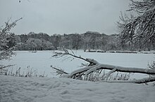 Голосеевский национальный природный парк. Фото 42.jpg