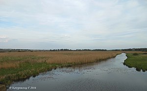 Річка Рів біля села Шершні