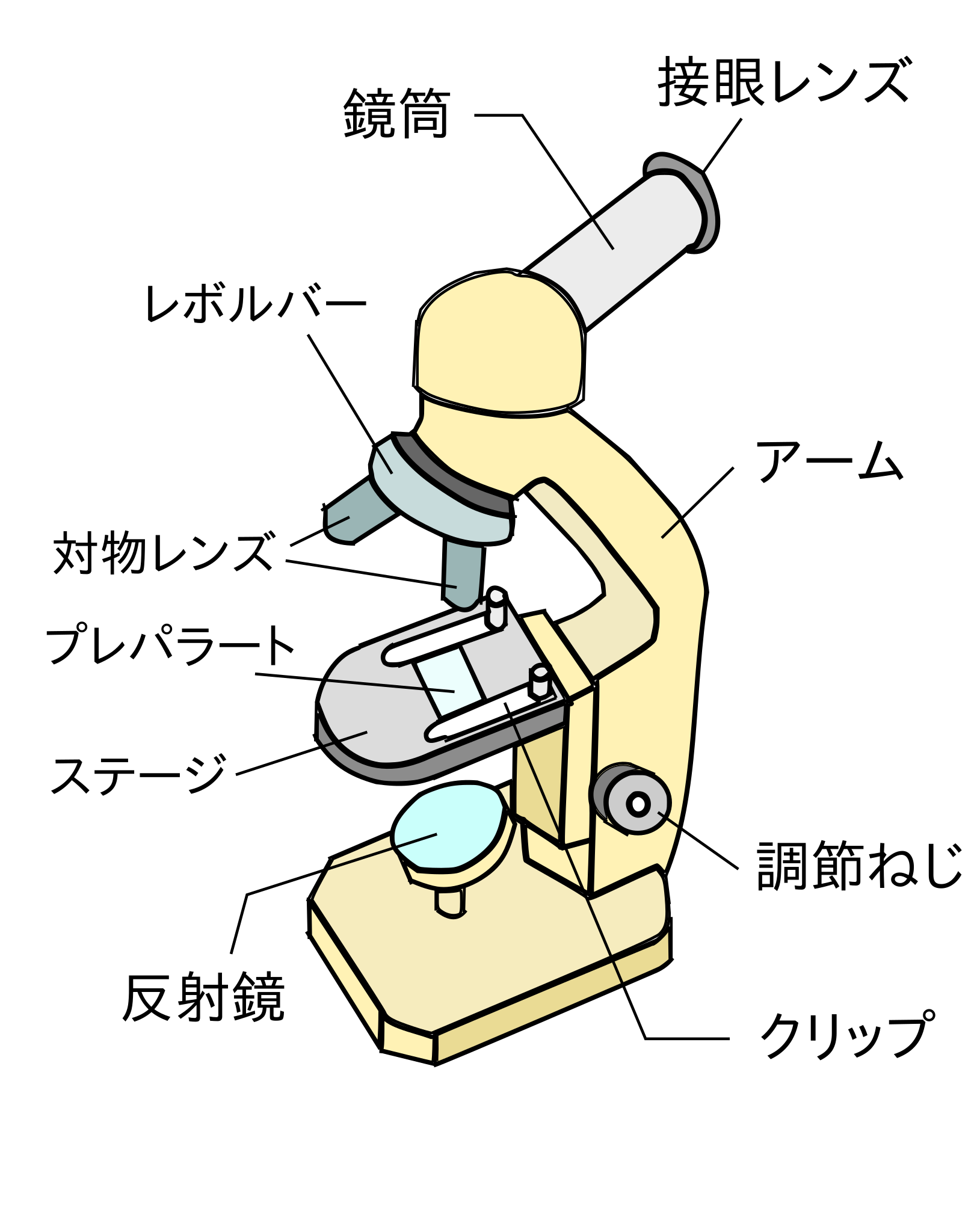 File ステージ上下式顕微鏡イラスト Svg Wikimedia Commons