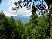 八仙山 Baxian Mountain - panoramio.jpg