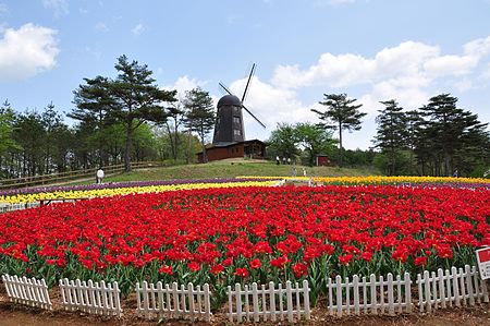 Karumai, Iwate