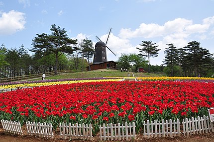 軽米町の有名地