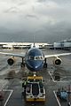 * Nomination Boeing 757 TF-FIU of Icelandair at Glasgow International Airport --Ralf Roletschek 13:10, 26 November 2016 (UTC) * Promotion Good quality, although I disagree with the composition choice of cutting the wings. --Peulle 13:33, 26 November 2016 (UTC)