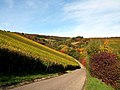 Geradstetten Weinberge